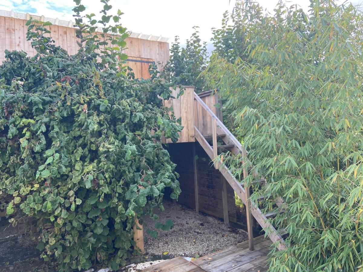 Home Sweet Dome In Bouillon Noirefontaine Εξωτερικό φωτογραφία